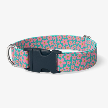 image of front of collar. image of front of collar.